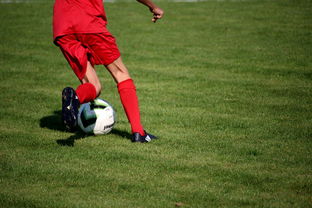 九游娱乐app-德甲青训系统结合视觉感知训练强化位置判断