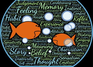 九游娱乐网站-法甲实际战术板使用率与胜率关系初步调查,战术板足球