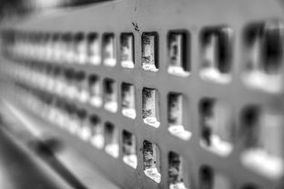 九游体育官网入口-运动康复技术在青少年体能提升中的应用研究,运动康复体系